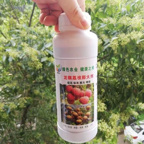 有哪些品牌葉面肥適合龍眼膨大期？