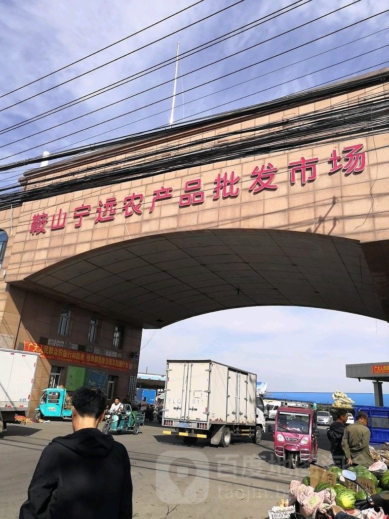 鞍山金龍魚批發市場地址電話