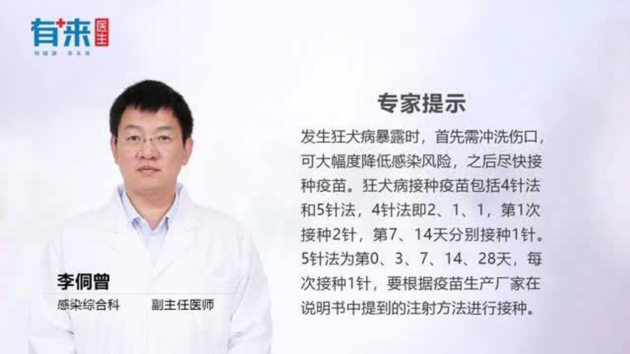 龍貓咬傷需要接種哪些疫苗？