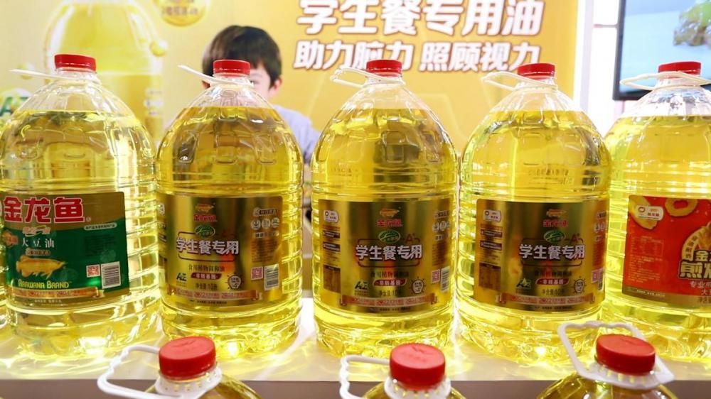 金龍魚行業排名榜單（金龍魚品種排行榜）