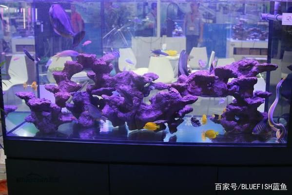 森森魚缸噪音大怎么解決（如何選擇靜音魚缸噪音減少的diy方法魚缸溢流槽降噪技巧）