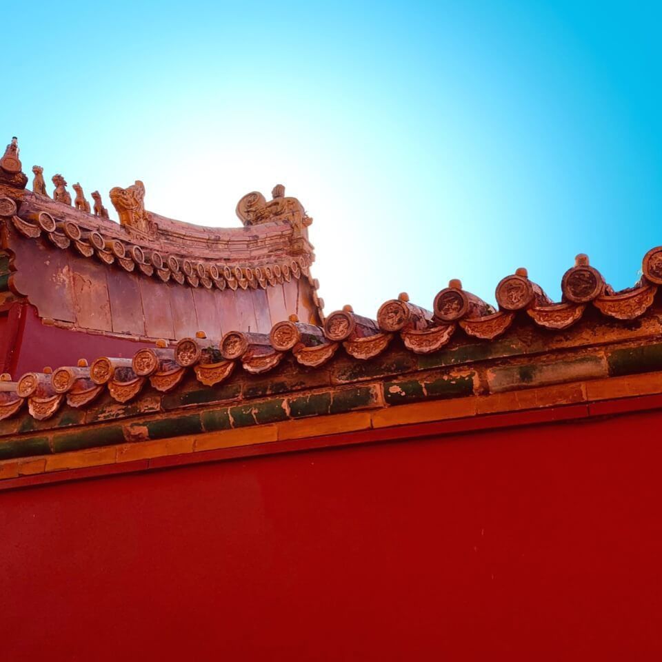 龍魚趴缸最簡(jiǎn)單三個(gè)步驟是什么