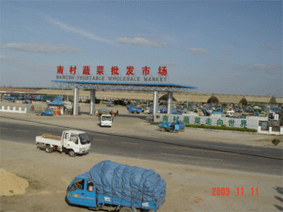 廣東金龍魚批發市場在哪里（廣東金龍魚批發市場位置）