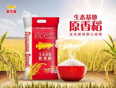 金龍魚車間技工做什么