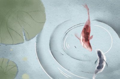 家養(yǎng)龍魚死了是兇是吉：家養(yǎng)龍魚的死亡具體是吉是兇，龍魚養(yǎng)殖常見誤區(qū)有哪些