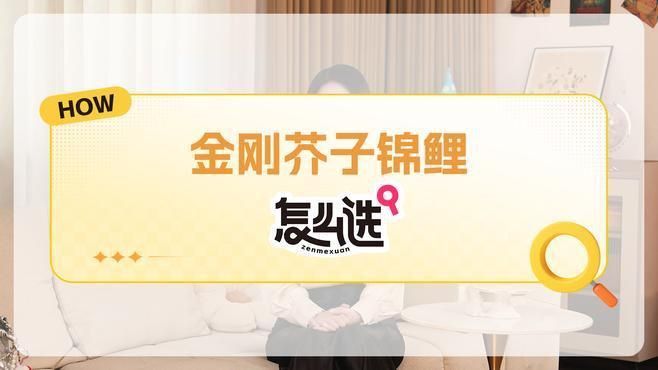 芥子錦鯉哪種顏色最好