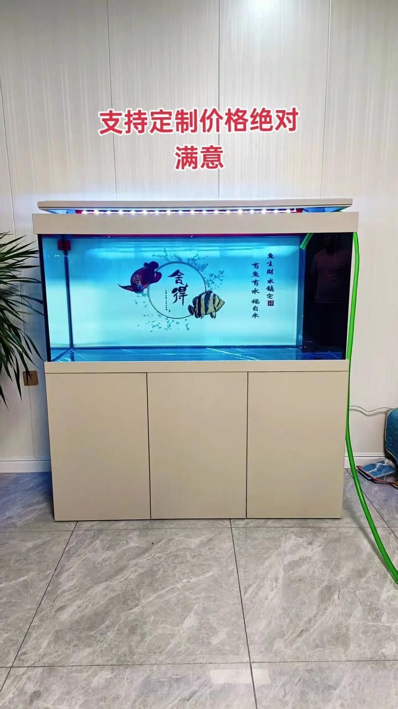 龍魚缸與家具搭配圖片