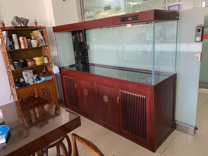 龍魚缸與家具搭配圖片