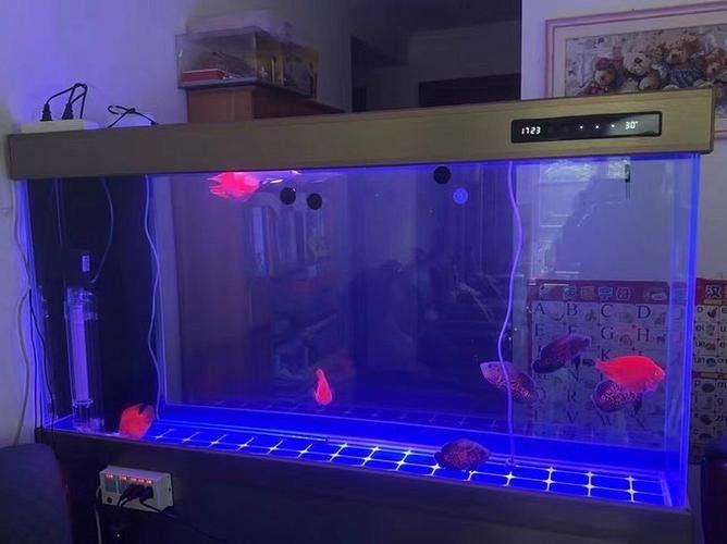 龍魚缸與家具搭配圖片