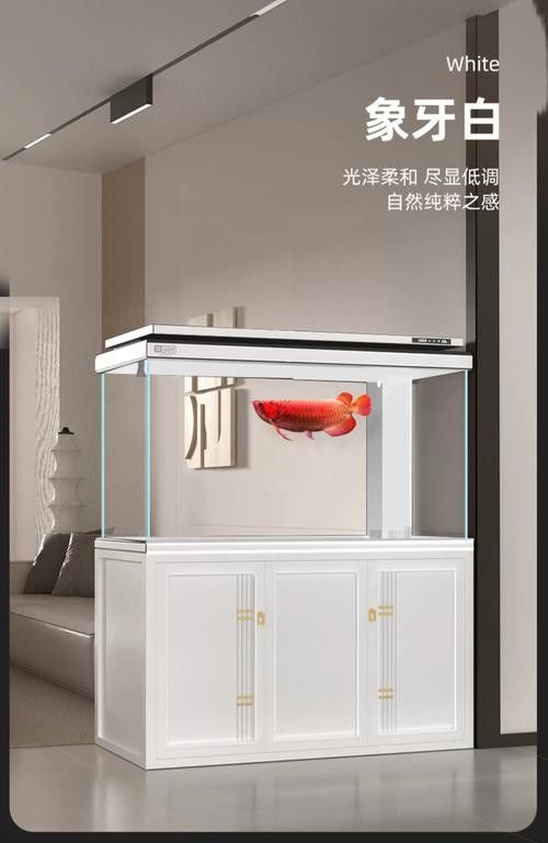 龍魚缸與家具搭配圖片