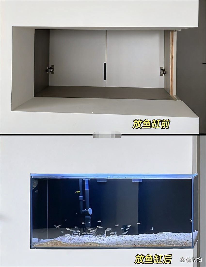 龍魚缸與家具搭配圖片