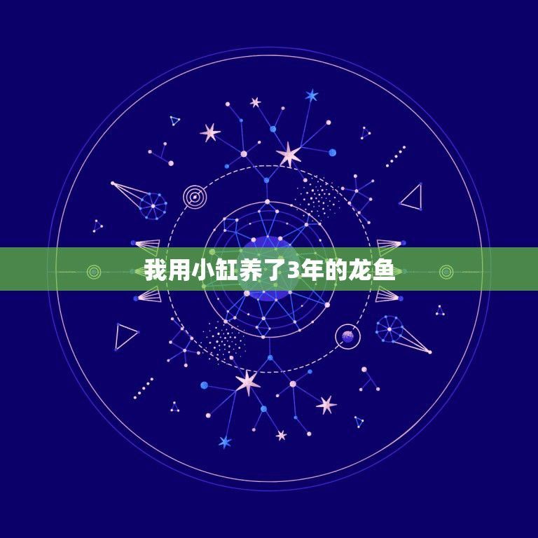35厘米寬的魚缸可以養龍魚嗎（35厘米寬的魚缸能養龍嗎360問答2.2