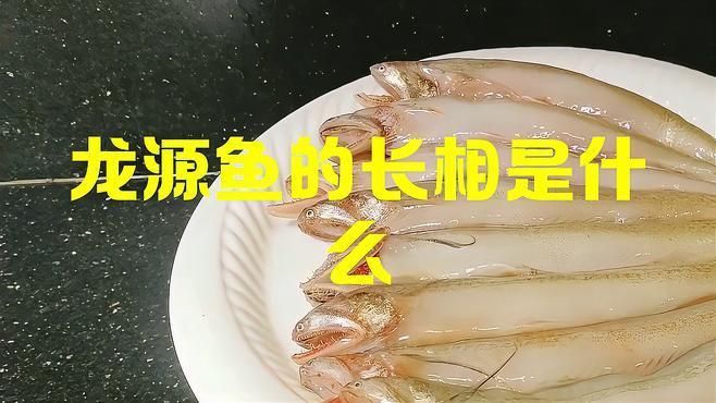 龍源魚