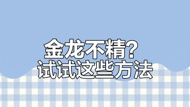 金龍魚需要24小時開燈嗎