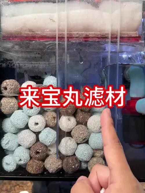 龍魚濾材哪個牌子好一點兒啊