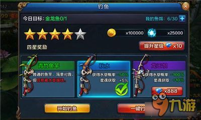 金龍魚品級劃分標準：如何快速區分金龍魚品牌