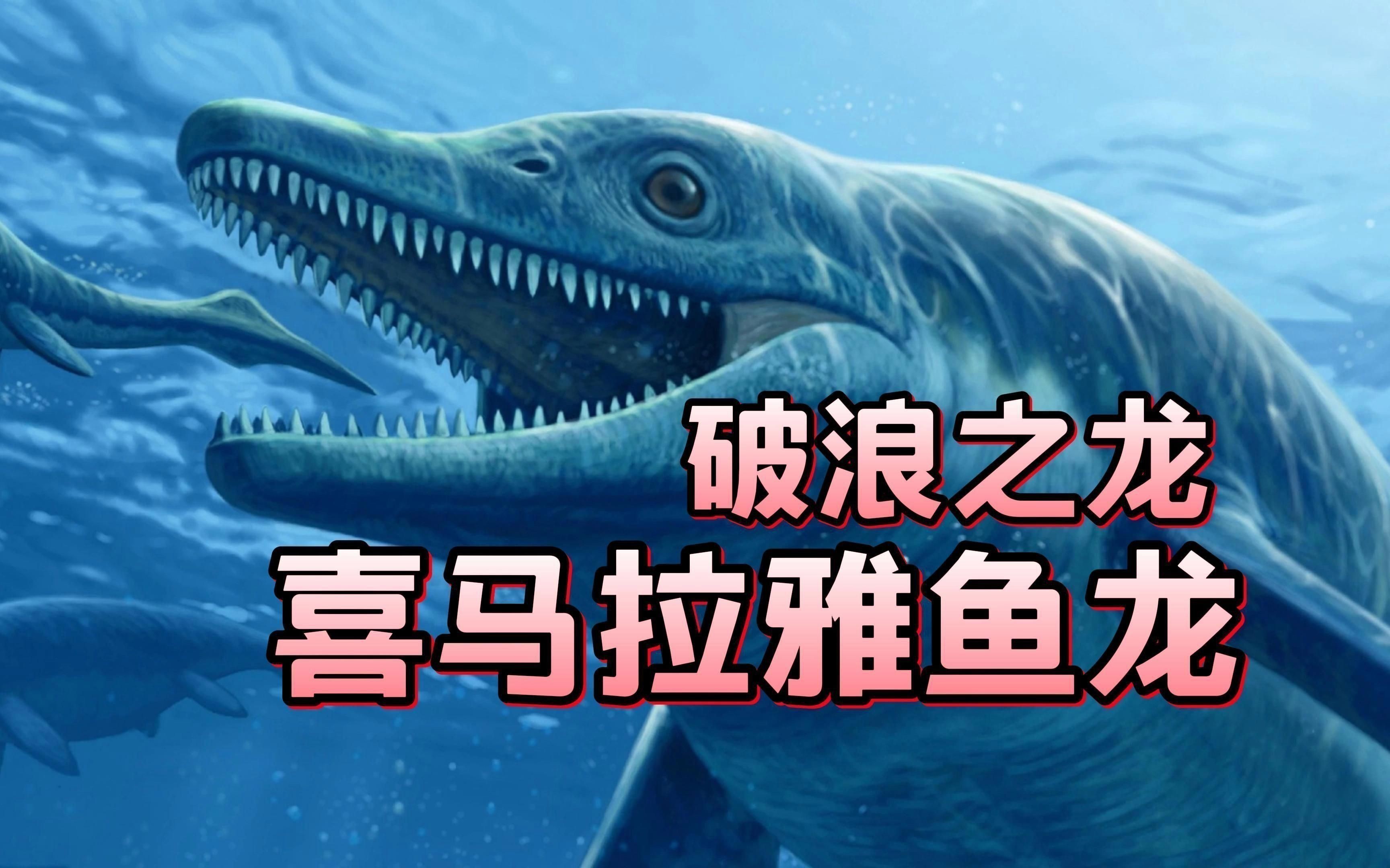 中國魚龍