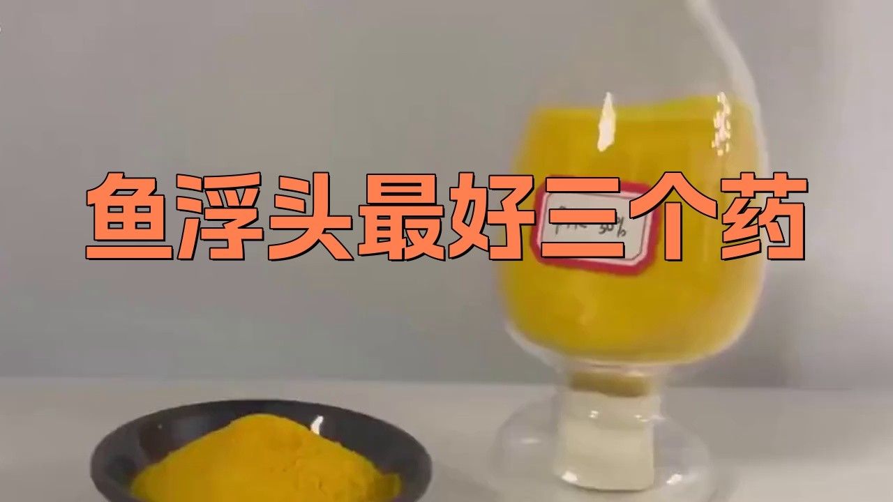 金龍魚浮頭怎么治療