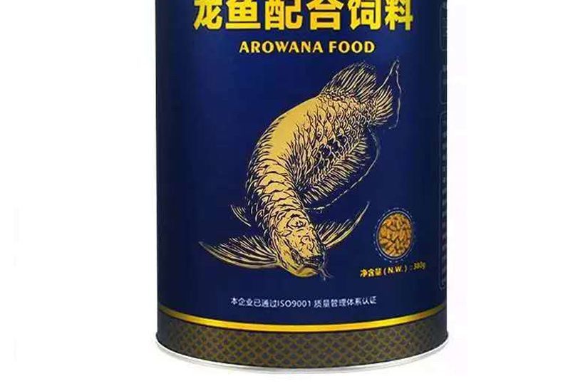 龍魚喂飼料好嗎？：關于龍魚喂飼料的一些詳細信息