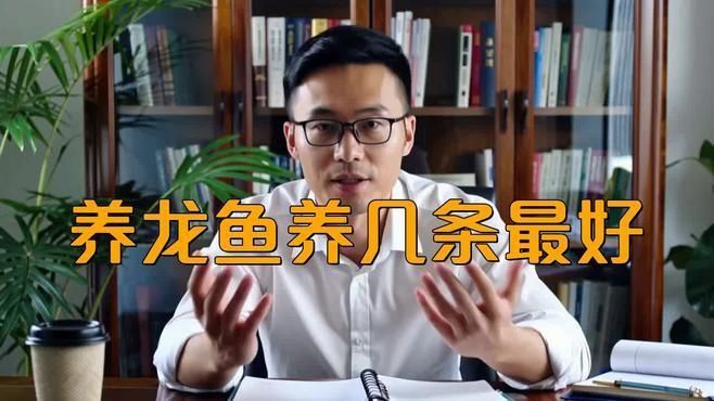 如何判斷自己適合養幾條龍魚？