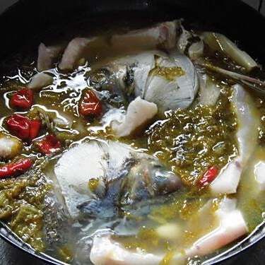 烏龍魚是什么魚圖片欣賞大全