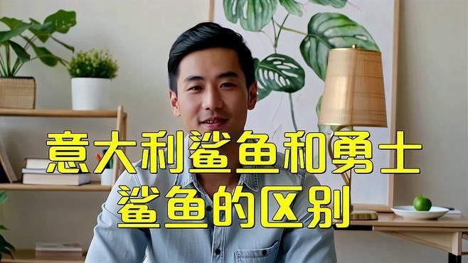 哪個鯊魚牌子檔次最高