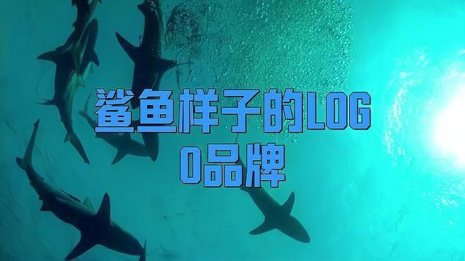 哪個鯊魚牌子檔次最高