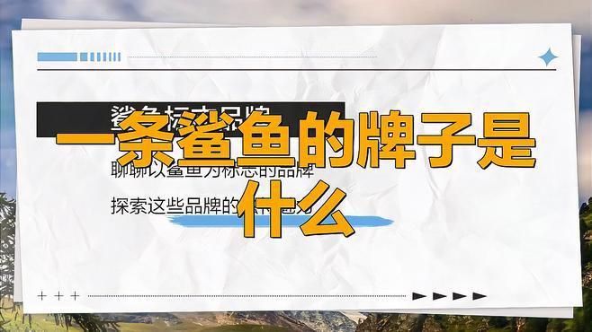 哪個鯊魚牌子檔次最高