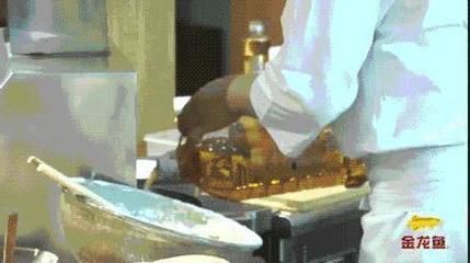 金龍魚吃什么上色快又好看：金龍魚吃什么上色最好