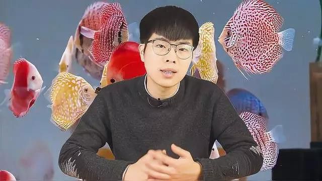 如何檢測魚缸水質是否合適？ 如何檢測魚缸水質是否合適？ 龍魚百科 第2張