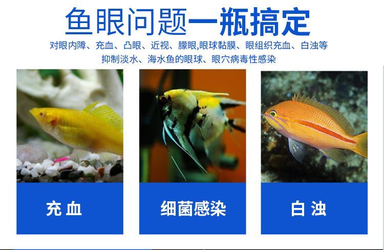 龍魚蒙眼病怎么治最好：龍魚蒙眼病治愈后的護理要點，