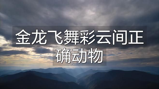細(xì)框過背金龍最佳生肖