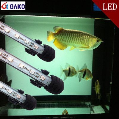 龍魚潛水燈最佳安裝位置：關于龍魚潛水燈安裝的建議