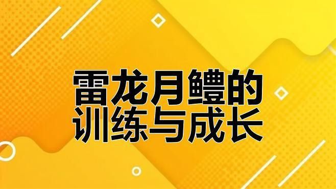 月鱧雷龍魚用多大的缸