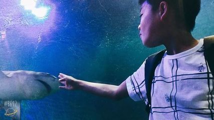 金龍魚養(yǎng)多大才能變色