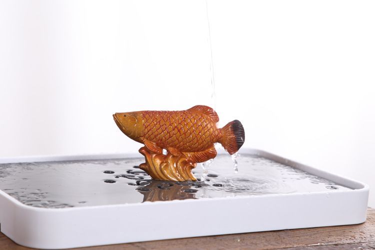 金龍魚養(yǎng)多大才能變色