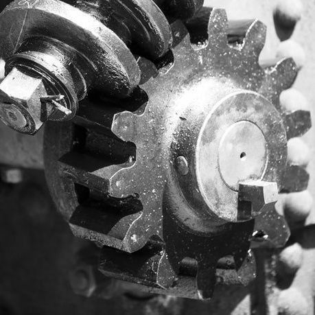 金老虎魚算虎魚嗎