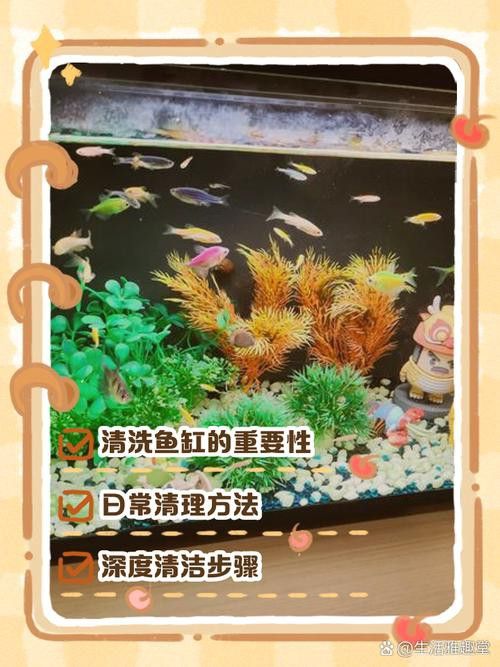 火龍魚可以和什么魚混養呢圖片