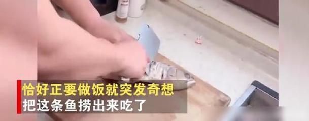 金龍魚內蒙眼怎么治：金龍魚蒙眼怎么辦