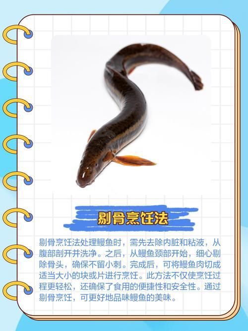 鰻魚去刺圖解