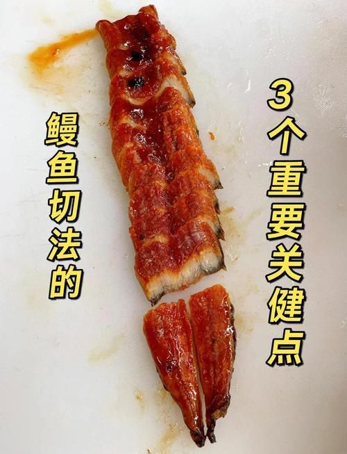 鰻魚去刺圖解