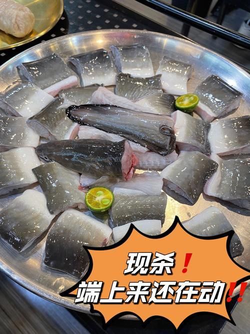 鰻魚去刺圖解