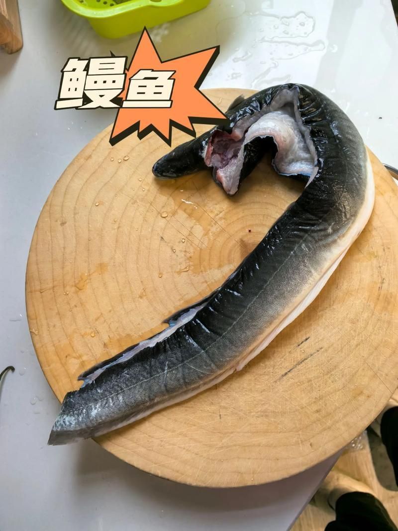 鰻魚去刺圖解
