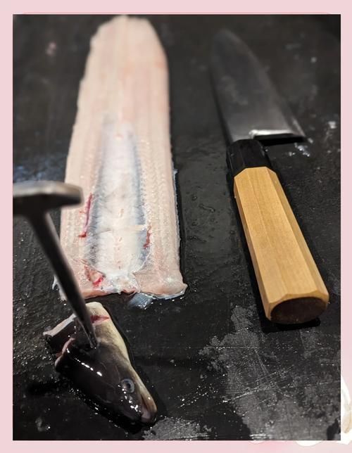 鰻魚去刺圖解