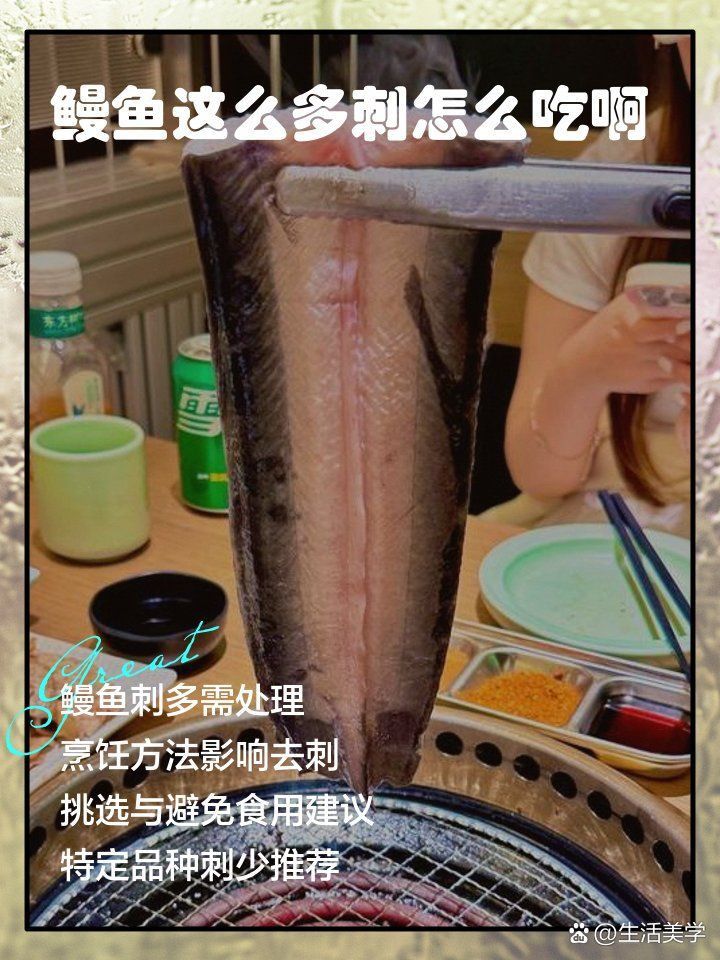 鰻魚去刺圖解