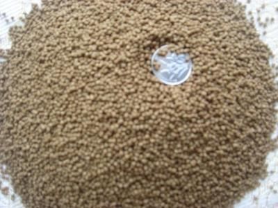 自制龍魚飼料配方表：自制龍魚飼料的基本配方和注意事項(xiàng)