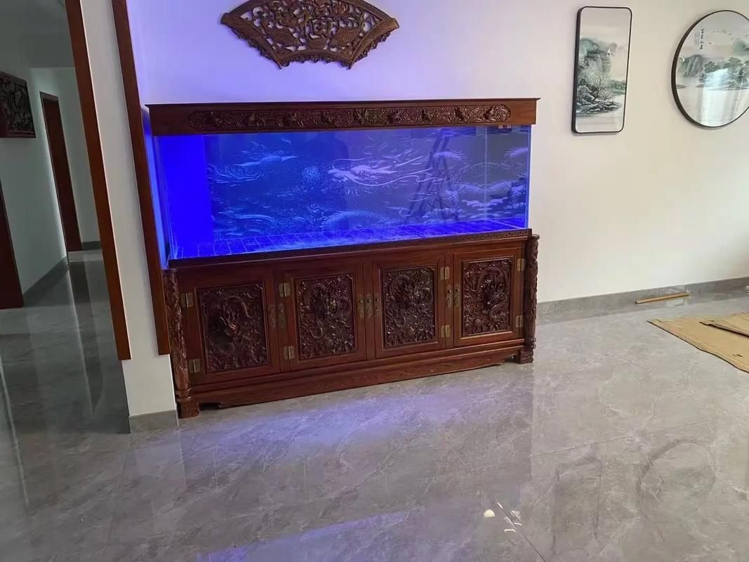 能提供一張龍魚缸擺放風水圖嗎？