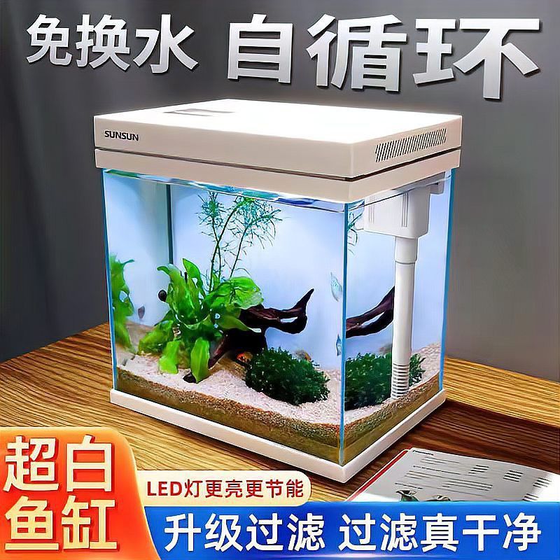 血紅龍魚缸需要多大的過濾器？