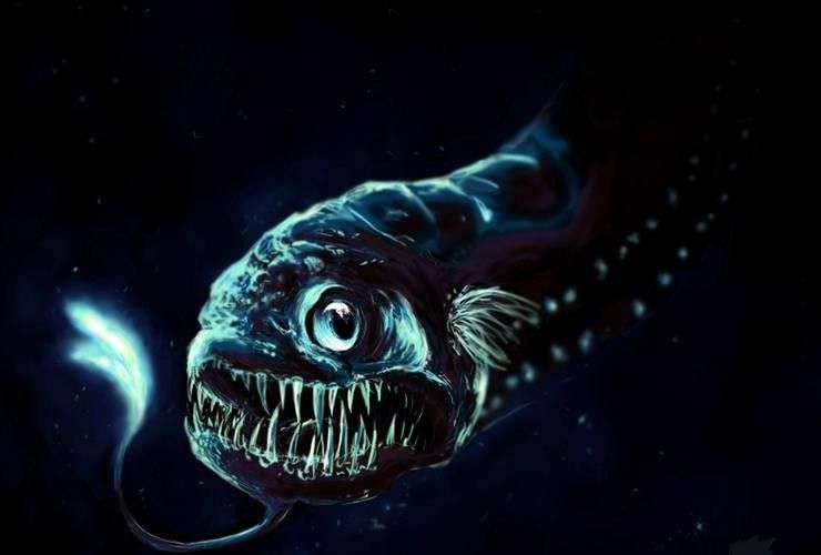 龍魚圖片 頭像大全集