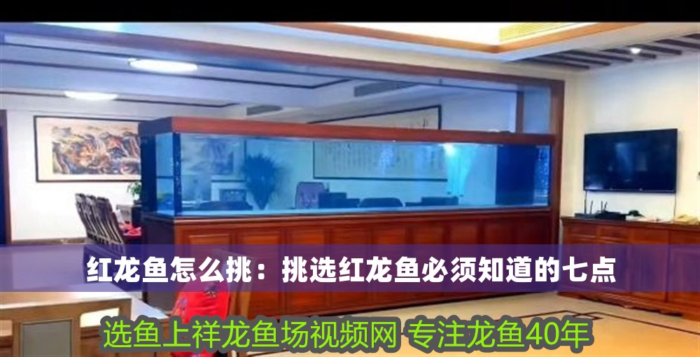 紅龍魚怎么挑：挑選紅龍魚必須知道的七點 紅龍魚怎么挑：挑選紅龍魚必須知道的七點 龍魚百科 第1張